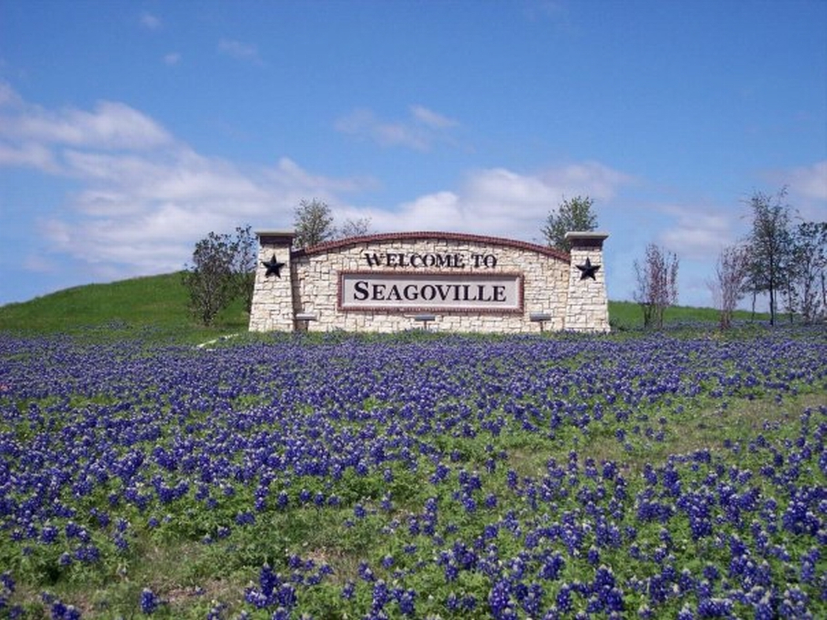 seagoville website design